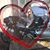 Cherie Lynn Sheppard's profile image