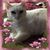 Erica Elkins's profile image