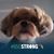 Michelle Grenier's profile image