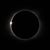 Matthew Hunt's profile image