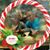 Lud Balzani's profile image