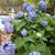 Diane Heffernan's profile image
