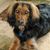 Carolyn Rudy's profile image