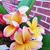 Kathleen R Mondragon's profile image