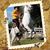 EL Muchacho Alegre's profile image