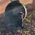 Robert Jewison's profile image