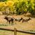 Leslie Smith Johnson's profile image