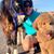 Karen Quinn's profile image