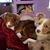 Carolyn Meier Mahakian's profile image
