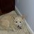 Margie Mountford's profile image