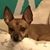 Jill Bullis's profile image