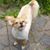 Sheila M. Tacey's profile image