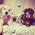 Donna White Willits's profile image