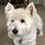 Kimberly G Cooper's profile image