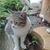 Nitin Jadhav's profile image