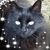 Carin Flug's profile image