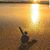 Kathy Sylvia's profile image