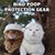 Brenda Mosher's profile image