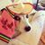 Jeffrey Risner's profile image