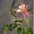 Valerie Crapnell's profile image