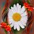 Okea Taylor's profile image