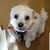Julie Belling's profile image