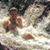 Tony Amoroso's profile image