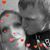 Kate Haase's profile image