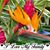 Carol Wilson's profile image