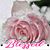 Ir Ma's profile image