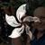 Mark Briton-Jones's profile image