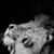 Tom Brice's profile image