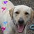 Maureen Gossoo's profile image