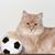 Rachel Henry- Conroy's profile image