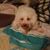 Ashley Conney's profile image