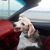 Stanton Magid's profile image