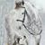 Anita Johnson Campbell's profile image