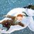 Hope Tripp's profile image