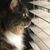 Cami Homann's profile image