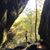 Crystal Graham Cottingham's profile image