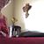 Terry Lynne Wolfe's profile image