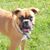 Jeff Cooper's profile image