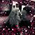 Lisa Shipley Hulstrom's profile image