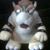 Abs Chrono's profile image