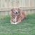 Cosmo Loden-Hayn's profile image