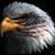 Lori Rodriguez's profile image