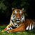 Sue Marshan's profile image