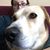 Elizabeth James's profile image