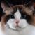 Mable Roberts Borak's profile image