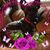 Linda Strauss's profile image